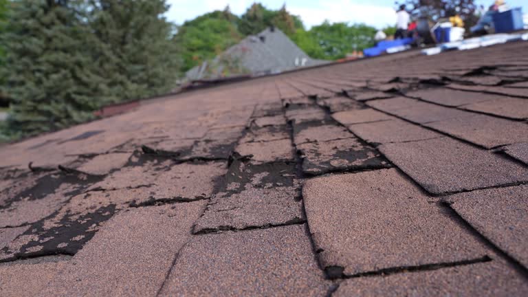 Best Gutter Installation and Repair  in Sand Lake, MI
