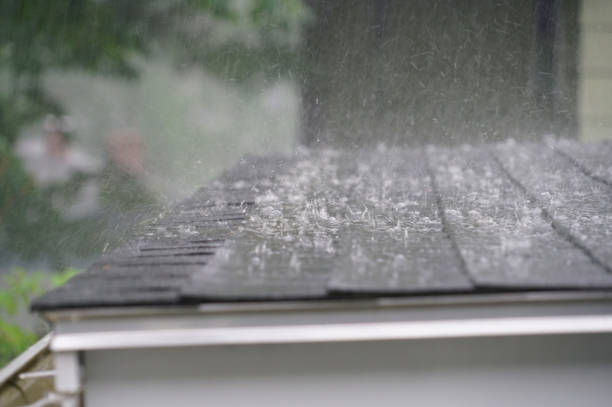  Sand Lake, MI Roofing Pros
