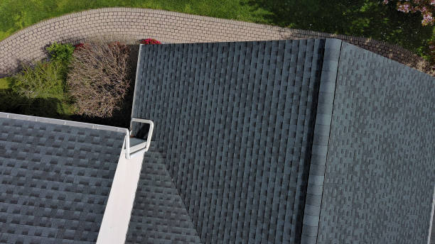 Best Roof Leak Repair  in Sand Lake, MI