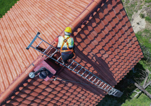 Best Roof Insulation Installation  in Sand Lake, MI